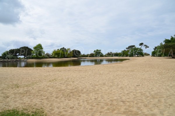 Photo de la plage du bassin d'Arès