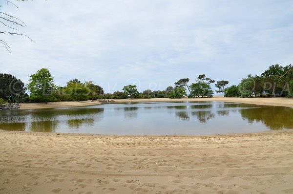 Plan d'eau à Arès à côté du bassin d'Arcachon