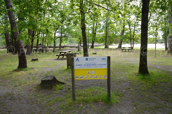 Plage dans le site naturel de St Brice - Les Quinconces - Le Coulin à Arès