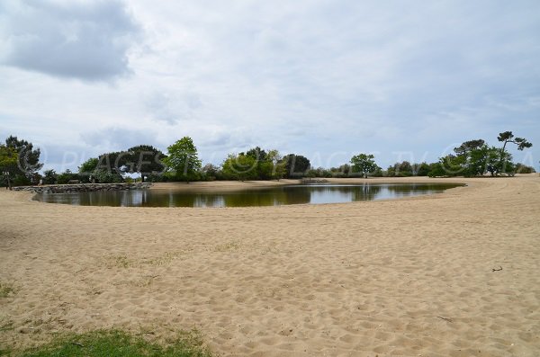 Photo du bassin de St Brice à Arès