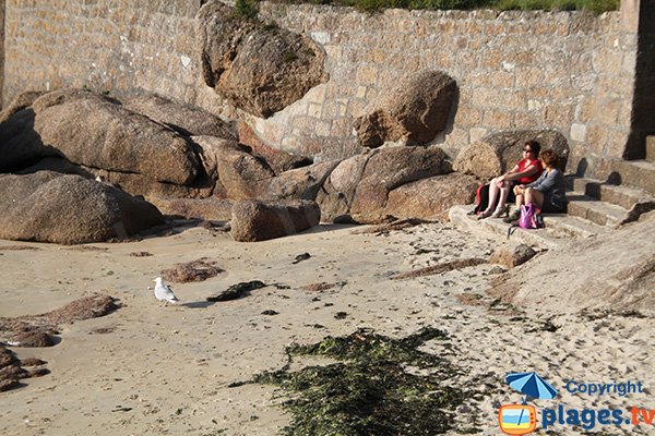 Plage confidentielle à Ploumanac'h