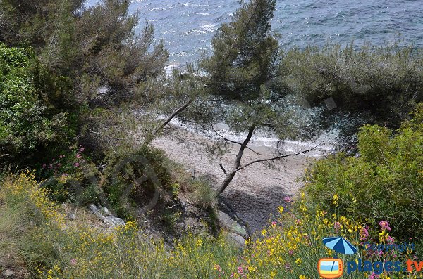 Secret beach in Toulon