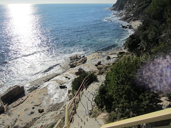 Vue aérienne de la plage des Bau Rouges à Carqueiranne