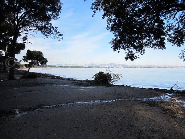 Plage ombragée sur la presqu'île de Giens - Plage de la Baume