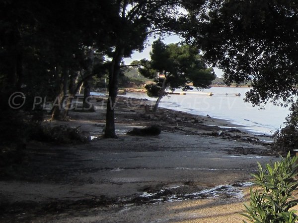 Plage de la Baume à Hyères