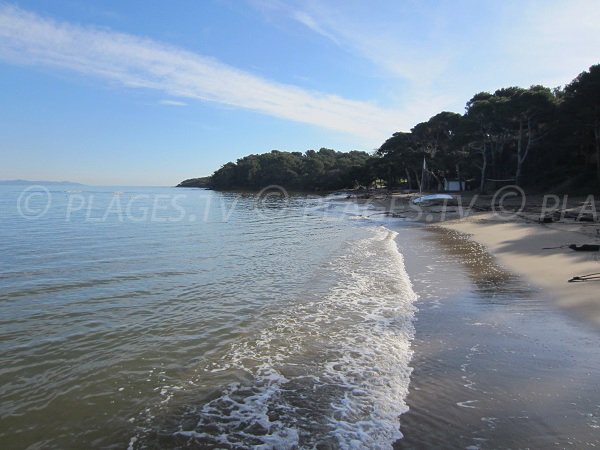 Plage de la Baume sur la Presqu'île de Giens