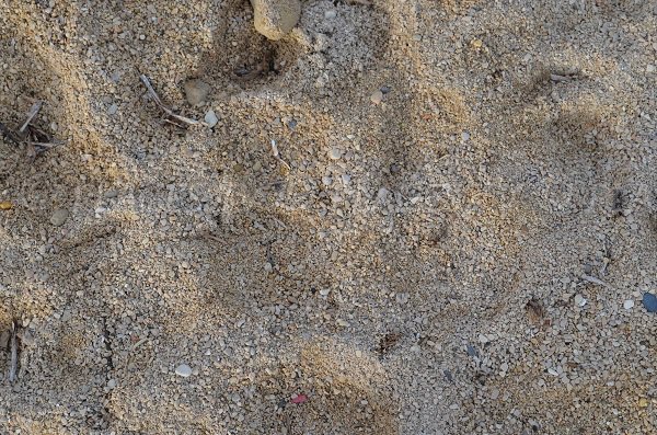 Nahaufnahme der Kieselsteine am Strand von Sausset les Pins