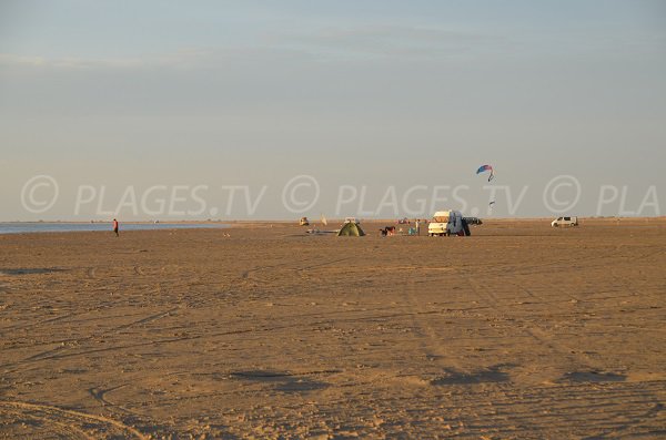 Wildstrand in der Camargue