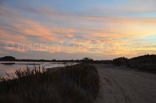 Road of the Beauduc beach