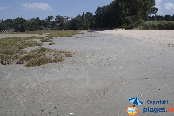 Environnement de la plage de la Beaussais