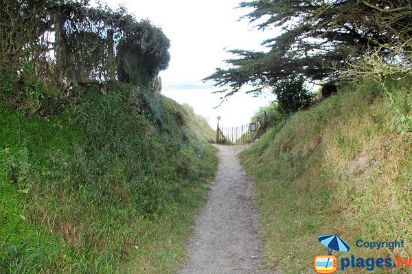 Sentier d'accès à la crique de Beg ar C'hastell - Guisseny