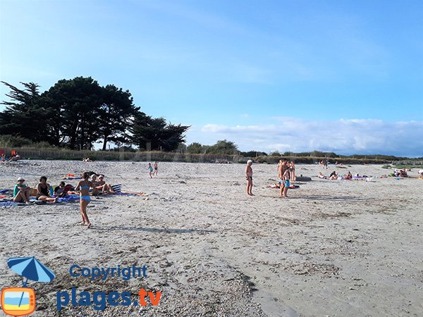 Environnement de la plage de Beg Lann - Sarzeau