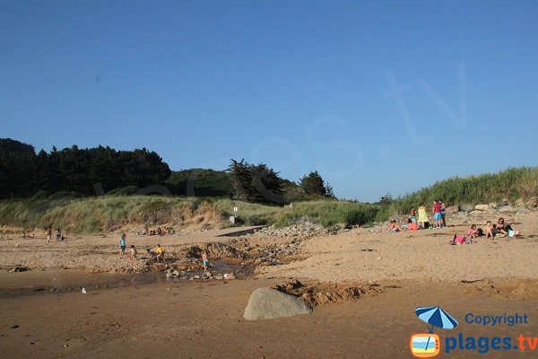 Environnement de la plage de Goaslagorn - Lannion Beg-Leguer