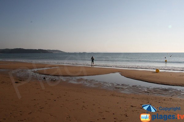 Vue sur l'ile de Batz depuis la plage de Goaslagorn