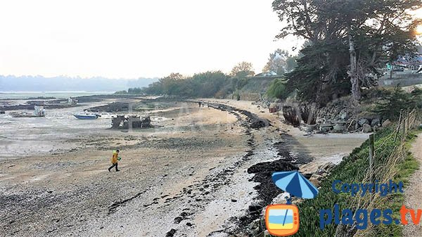 Photo de la plage de Beg Sable à Lanmodez - Bretagne