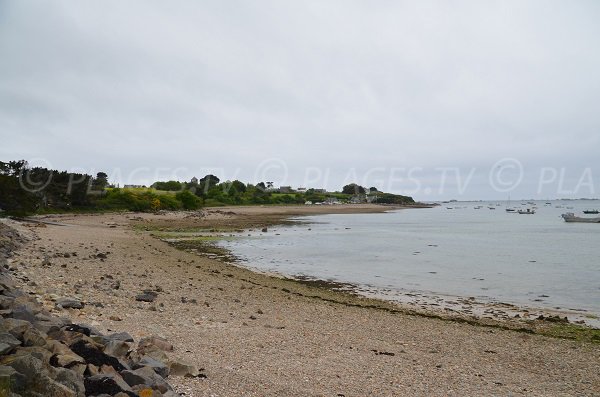 Photo de la plage de Beg Vilin à Plougrescant