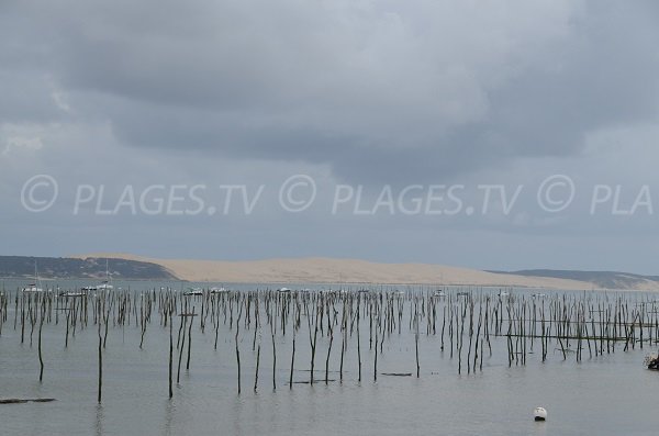 Oyster parks of Bélisaire and view on Pilat Dune