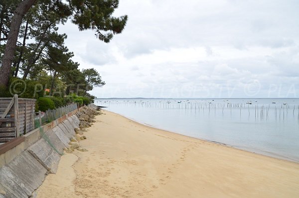 Photo de la plage de Bélisaire au Cap Ferret