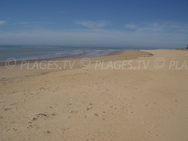 Plage dans l'espace naturel de la Belle Henriette à La Tranche en Vendée