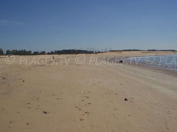 Plage sauvage à La Tranche - Belle henriette