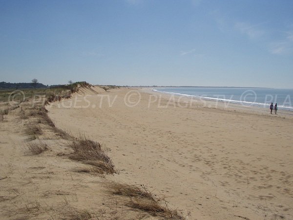 Dunes of Belle Henriette beach in La Tranche sur Mer