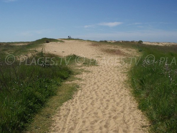 Sentier d'accès à la plage de la Belle Henriette