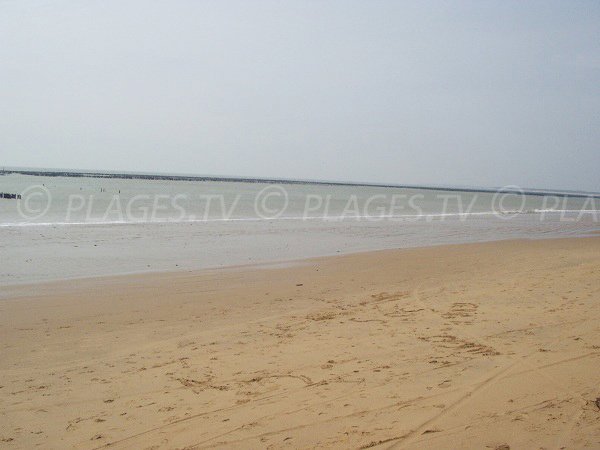 Plage publique à La Faute sur Mer