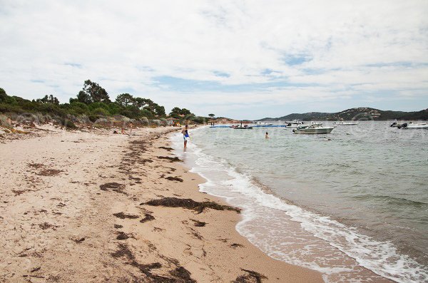 Foto della spiaggia di  Benettu - Lecci - Corsica