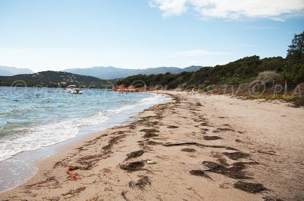 spiaggia Benettu nel golfo di Porto Vecchio - Corsica