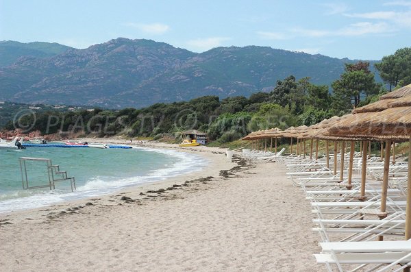 Plage dans les environs de Porto-Vecchio - Benedettu - Lecci