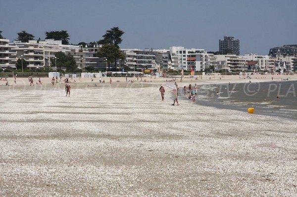 Photo of Benoit beach in La baule - France