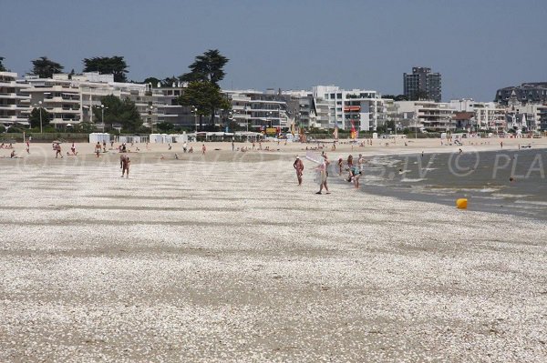 Foto della spiaggia Benoit a La baule