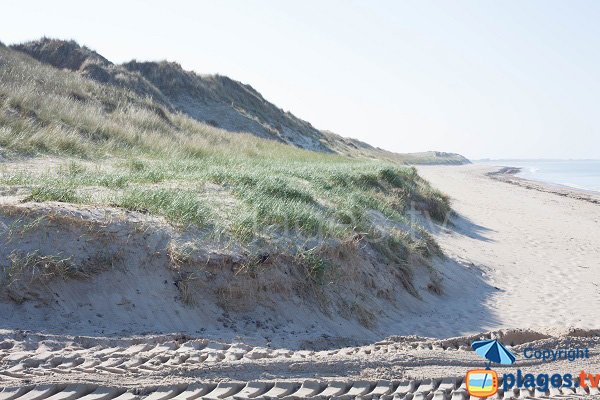 Dunes de Pirou