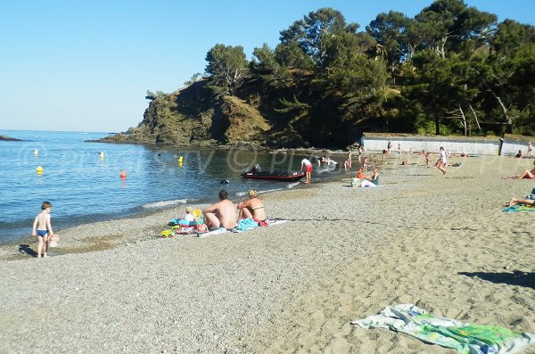 Foto della cricca di Bernardi a Port Vendres