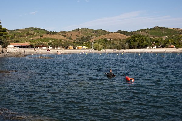 Environnement de la plage de Bernardi avec vue sur les Albères