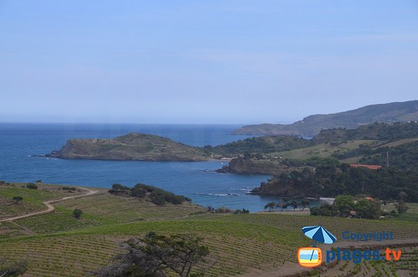 Paulilles bay with Bernardi beach - Port-Vendres - France