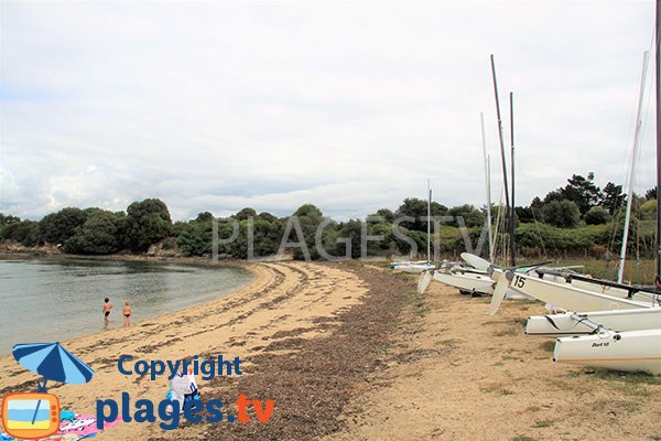 Plage sauvage à Sarzeau - Bernon