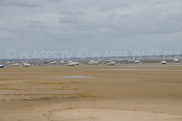 Plage sur le bassin d'Arcachon au niveau du port de Bétey - Andernos les Bains