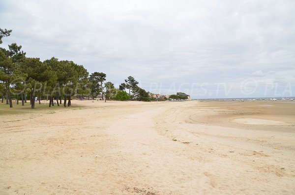 Photo de la plage de Betey à Andernos les Bains