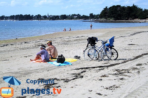 Belle plage sauvage sur l'ile d'Arz