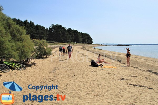 Photo of Bilhervé beach on the island of Arz