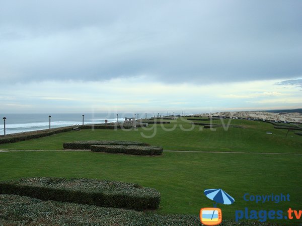 Pelouses le long de la plage de Biscarrosse