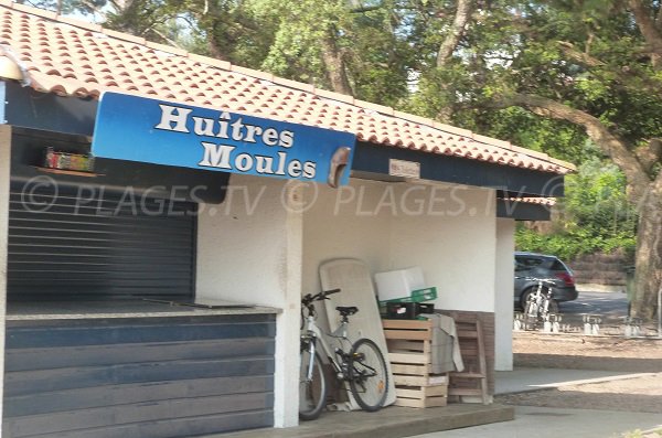 Parking et point de restauration de la plage Blanche d'Hossegor