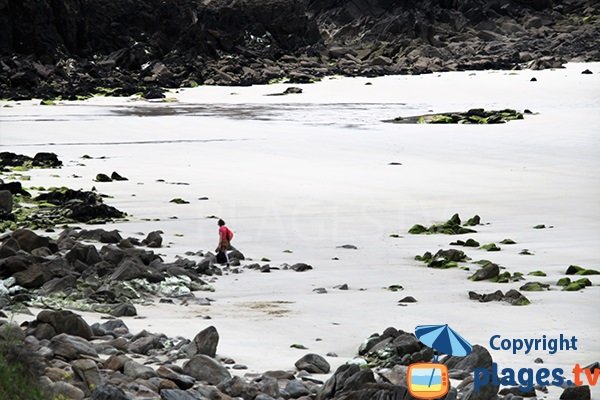 Falaises autour de la plage du Conquet