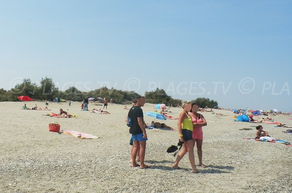 Environnement de la plage d'Elne 66