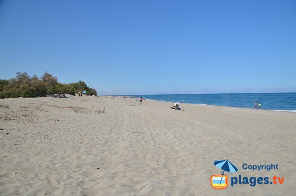 Foto della spiaggia di Bocal du Tech a Elne - Francia