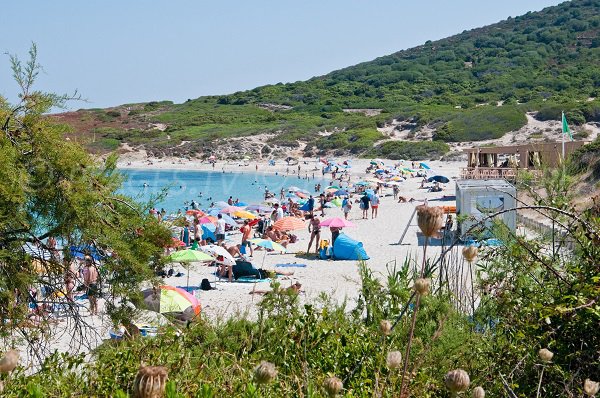 Bodri beach in Corsica