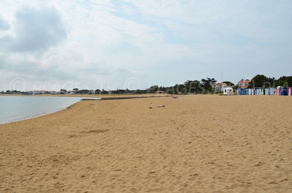 Plage au niveau du port de plaisance de St Denis d'Oléron