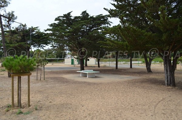 Beach volley et ping-pong sur la plage de la Boirie - Ile d'Oléron