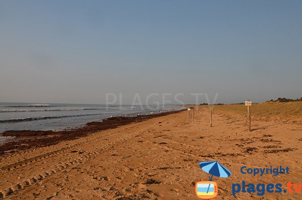 Foto della spiaggia di Bois Soret a Notre Dame de Monts